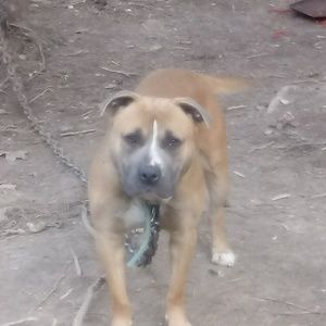 Meet your Posher, William